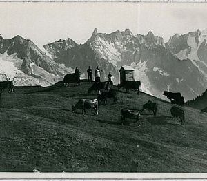 31788  CARTOLINA d'Epoca AOSTA provincia - Courmayeur
