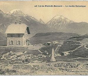 31786  CARTOLINA d'Epoca AOSTA provincia - SAN BERNARDO: jardin botanique