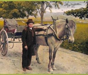 ad1913 - NORWAY - VINTAGE POSTCARD - ETHNIC