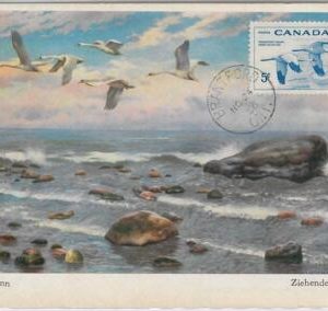 52181 - CANADA -  MAXIMUM CARD - 1956  ANIMALS:  BIRDS