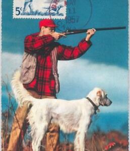 52182 - CANADA -  MAXIMUM CARD - 1957  HUNTING with DOG