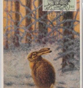 52185 - Czechoslovakia  -  MAXIMUM CARD - 1955  ANIMALS:   HARE