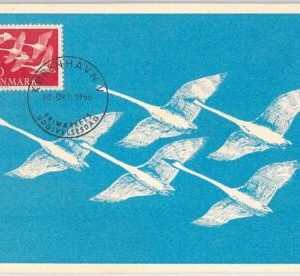 52198 - DENMARK -  MAXIMUM CARD - 1956  ANIMALS:  BIRDS