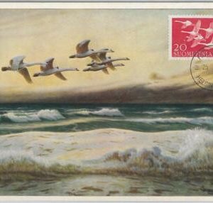 52204 - FINLAND -  MAXIMUM CARD - 1958  ANIMALS:  BIRDS