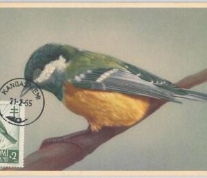 52207 - FINLAND -  MAXIMUM CARD - 1955  ANIMALS:  BIRDS