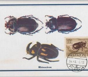 52559 - HUNGARY -  MAXIMUM CARD - 1954  ANIMALS:  INSECTS