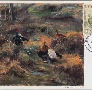 52591  - ROMANIA -  POSTAL HISTORY: MAXIMUM CARD -  ANIMALS  Birds