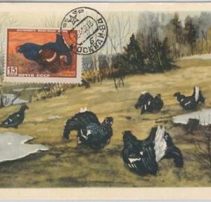52594  - RUSSIA Росси́я -  POSTAL HISTORY: MAXIMUM CARD - 1957  ANIMALS  Birds