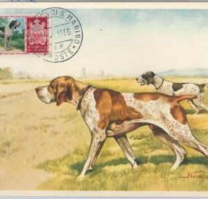 52685 - SAN MARINO -   MAXIMUM CARD - 1957  ANIMALS:  HUNTING DOG