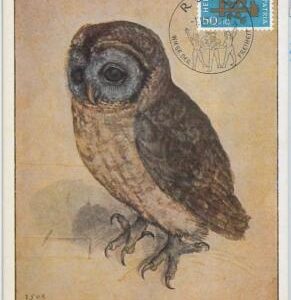 52687  - SWITZERLAND -  POSTAL HISTORY: MAXIMUM CARD - 1959 PRO FAUNA Birds  OWL