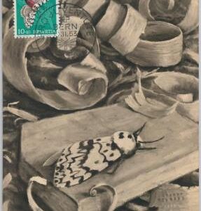 52693  - SWITZERLAND -  MAXIMUM CARD - 1953  PRO JUVENTUTE Butterflies MOTH