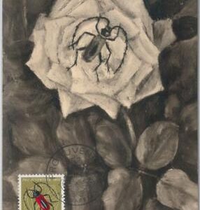 52694  - SWITZERLAND -  MAXIMUM CARD - 1953  PRO JUVENTUTE Insects