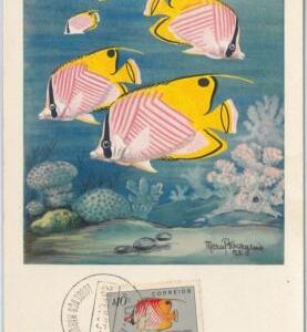 54282 - MOZAMBIQUE -  POSTAL HISTORY: MAXIMUM CARD - 1955  FISH