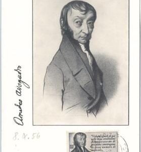 56834 -   ITALY -  POSTAL HISTORY - MAXIMUM CARD -1956  SCIENCE  Amedeo Avogadro