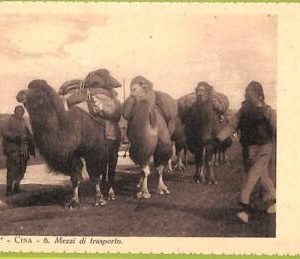 ah0009 - CHINA - VINTAGE POSTCARD
