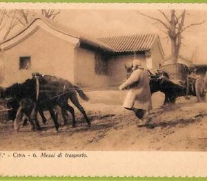 ah0015 - CHINA - VINTAGE POSTCARD - Transport