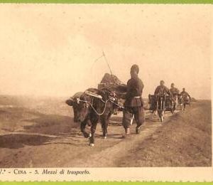 ah0016 - CHINA - VINTAGE POSTCARD - Transport