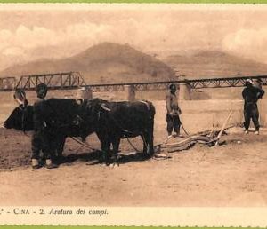 ah0021 - CHINA - VINTAGE POSTCARD