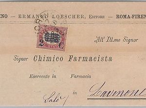 ITALIA REGNO: storia postale - Sassone 30 su BUSTA da TORINO   1880