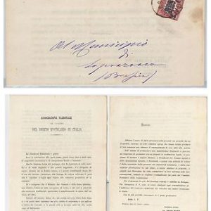 ITALIA REGNO: storia postale - Sassone 30 su BUSTA 1879 - SETA SILK interessante