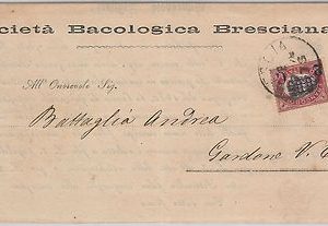ITALIA REGNO: storia postale - Sass 30 su MANIFESTO: Societa'  Bacologica - SILK