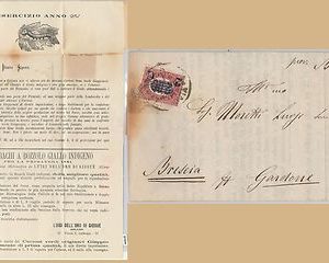 ITALIA REGNO: storia postale - Sassone 34 su CIRCOLARE tema SETA SILK - MILANO