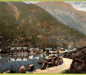 ad1803 - NORWAY - VINTAGE POSTCARD - Hardanger, Odde