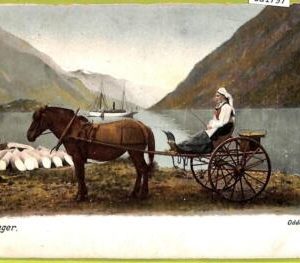 ad1797 - NORWAY - VINTAGE POSTCARD - ODDE KARJOL