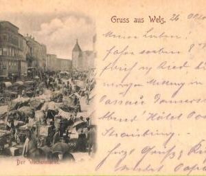 ac3521 - AUSTRIA - Ansichtskarten  VINTAGE  POSTCARD - Gruss aus Wels - 1897