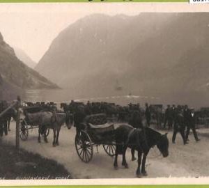 ad1790 - NORWAY - VINTAGE POSTCARD - Gudvangen