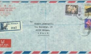 84406 - MALAYA  - POSTAL HISTORY - Registered COVER to ITALY -  TURTLES  1981