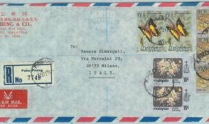 84402 - MALAYA  - POSTAL HISTORY -  COVER to ITALY - BUTTERFLIES Tigers 1981