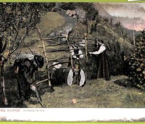 ad1687 - NORWAY - VINTAGE POSTCARD - ETHNIC - 1907