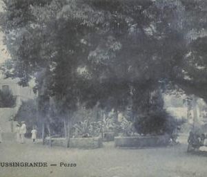 ac2268  - Ansichtskarten  VINTAGE POSTCARD - CROATIA  - Lussingrande