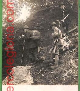 ah1103 - VINTAGE POSTCARD  -  Photografic HUNTING Deer