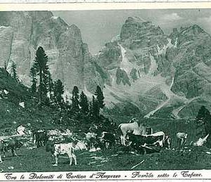 34450   CARTOLINA d'Epoca BELLUNO provincia - Cortina d'Ampezzo