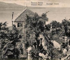 ac2064 - Ansichtskarten  VINTAGE POSTCARD - CROATIA - Palmen