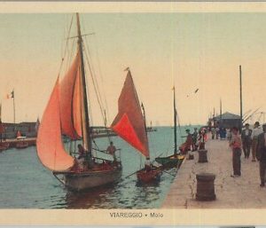 80819 - CARTOLINA d'Epoca - LUCCA  Provincia  - VIAREGGIO