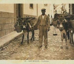 92383 - SPAIN  - Postal Antigua VINTAGE   POSTCARD -  SAN ROQUE Verdurero HAWKER