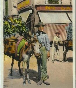 92392  - SPAIN - Postal Antigua VINTAGE  POSTCARD - Granada AGUADORES
