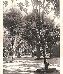 ab2791 - CARTOLINA D'EPOCA - Genova Provincia : Pra Ligure