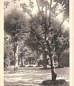 ab2792 - CARTOLINA D'EPOCA - Genova Provincia : Pra Ligure