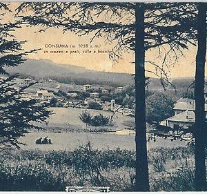 49542   CARTOLINA d'Epoca - FIRENZE provincia - Consuma 1954