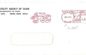 20579 - USA  - POSTAL HISTORY : red franking  1973 - ANIMALS: DOG Firefighting