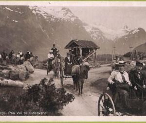 ad1897 - NORWAY - VINTAGE POSTCARD -  Oldenvand