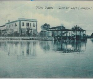 80562  - CARTOLINA d'Epoca - LUCCA  Provincia  - TORRE del LAGO  1925