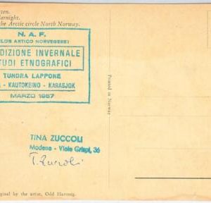 43249 - ITALY - POSTAL HISTORY - POSTCARD - ARTIC: Polar expedition 1957