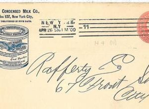 16112 - USA  -  POSTAL  HISTORY - STATIONERY COVER 1900 - BIRDS  EAGLES