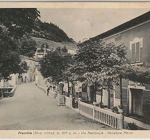 49551 CARTOLINA d'Epoca - PISTOIA  provincia - Pracchia 1948