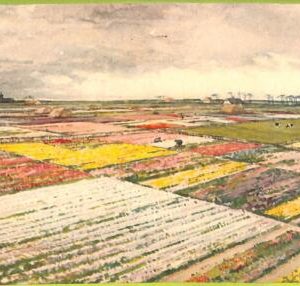 ad2052 - NETHERLANDS - VINTAGE POSTCARD  - Amsterdam - 1948